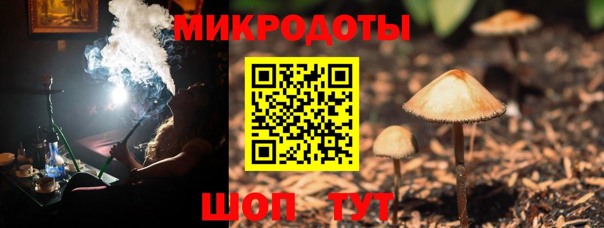 Сокол  Псилоцибиновые грибы Psilocybine cubensis  Вход с VPN  Галлюциногенные грибы Psilocybine cubensis 