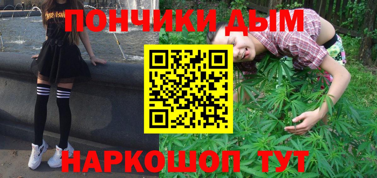 Марихуана гибрид Сокол